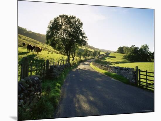 Countryside in Langstrothdale, Yorkshire Dales National Park, Yorkshire, England, United Kingdom-Patrick Dieudonne-Mounted Photographic Print