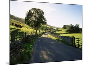 Countryside in Langstrothdale, Yorkshire Dales National Park, Yorkshire, England, United Kingdom-Patrick Dieudonne-Mounted Photographic Print