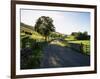 Countryside in Langstrothdale, Yorkshire Dales National Park, Yorkshire, England, United Kingdom-Patrick Dieudonne-Framed Photographic Print