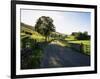 Countryside in Langstrothdale, Yorkshire Dales National Park, Yorkshire, England, United Kingdom-Patrick Dieudonne-Framed Photographic Print