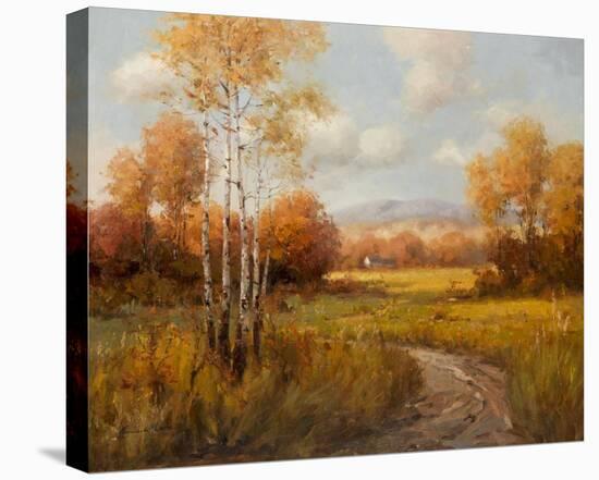 Countryside in the Fall-K^ Park-Stretched Canvas