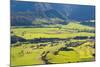 Countryside in the Golden Bay Region of South Island, New Zealand, Pacific-Matthew Williams-Ellis-Mounted Photographic Print