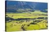 Countryside in the Golden Bay Region of South Island, New Zealand, Pacific-Matthew Williams-Ellis-Stretched Canvas