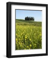 Countryside in Val d'Orcia, Siena, Tuscany, Italy-Nico Tondini-Framed Photographic Print