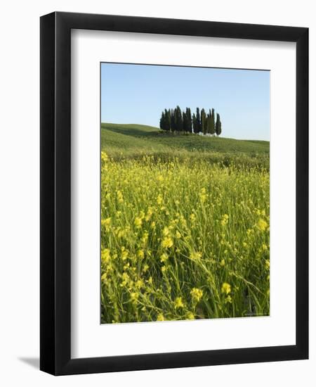 Countryside in Val d'Orcia, Siena, Tuscany, Italy-Nico Tondini-Framed Photographic Print