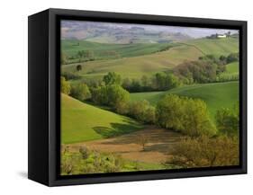 Countryside in Val d'Orcia-Dennis Degnan-Framed Stretched Canvas