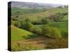 Countryside in Val d'Orcia-Dennis Degnan-Stretched Canvas