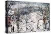 Countryside in Winter, 1920 (Painting)-Isaak Israilevich Brodsky-Stretched Canvas