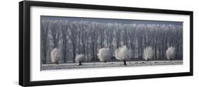 Countryside Landscape in Winter-null-Framed Photographic Print