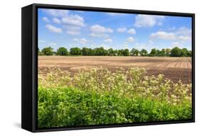 Countryside Landscape with Weed and Cultivated Farm Field-Peter Wollinga-Framed Stretched Canvas