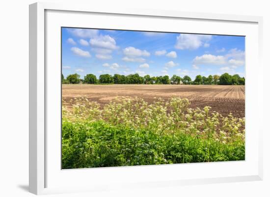 Countryside Landscape with Weed and Cultivated Farm Field-Peter Wollinga-Framed Photographic Print