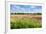 Countryside Landscape with Weed and Cultivated Farm Field-Peter Wollinga-Framed Photographic Print