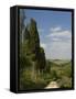 Countryside Near Montepulciano, Val D'Orcia, Siena Province, Tuscany, Italy, Europe-Pitamitz Sergio-Framed Stretched Canvas