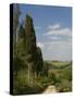 Countryside Near Montepulciano, Val D'Orcia, Siena Province, Tuscany, Italy, Europe-Pitamitz Sergio-Stretched Canvas
