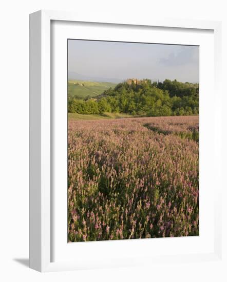 Countryside Near Pienza. Val D'Orcia, Siena Province, Tuscany, Italy, Europe-Pitamitz Sergio-Framed Photographic Print