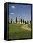 Countryside Near Pienza, Val D'Orcia, Siena Province, Tuscany, Italy, Europe-Pitamitz Sergio-Framed Stretched Canvas