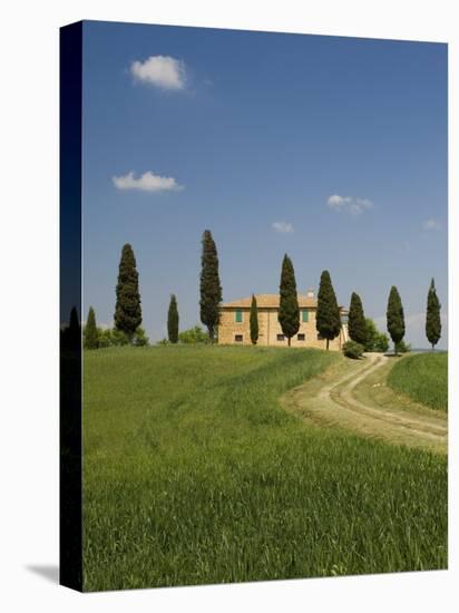 Countryside Near Pienza, Val D'Orcia, Siena Province, Tuscany, Italy, Europe-Pitamitz Sergio-Stretched Canvas