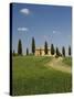 Countryside Near Pienza, Val D'Orcia, Siena Province, Tuscany, Italy, Europe-Pitamitz Sergio-Stretched Canvas