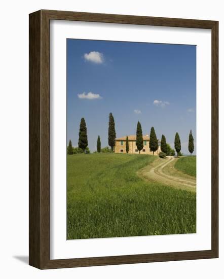 Countryside Near Pienza, Val D'Orcia, Siena Province, Tuscany, Italy, Europe-Pitamitz Sergio-Framed Photographic Print