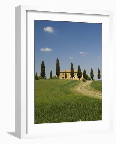 Countryside Near Pienza, Val D'Orcia, Siena Province, Tuscany, Italy, Europe-Pitamitz Sergio-Framed Photographic Print