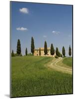 Countryside Near Pienza, Val D'Orcia, Siena Province, Tuscany, Italy, Europe-Pitamitz Sergio-Mounted Photographic Print