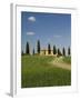 Countryside Near Pienza, Val D'Orcia, Siena Province, Tuscany, Italy, Europe-Pitamitz Sergio-Framed Photographic Print