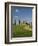 Countryside Near Pienza, Val D'Orcia, Siena Province, Tuscany, Italy, Europe-Pitamitz Sergio-Framed Photographic Print