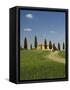 Countryside Near Pienza, Val D'Orcia, Siena Province, Tuscany, Italy, Europe-Pitamitz Sergio-Framed Stretched Canvas