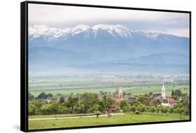 Countryside Near Sibiu, Transylvania, Romania, Europe-Matthew Williams-Ellis-Framed Stretched Canvas