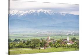 Countryside Near Sibiu, Transylvania, Romania, Europe-Matthew Williams-Ellis-Stretched Canvas