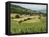 Countryside Near St. Jean Pied De Port, Basque Country, Pyrenees-Atlantiques, Aquitaine, France-R H Productions-Framed Stretched Canvas
