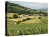 Countryside Near St. Jean Pied De Port, Basque Country, Pyrenees-Atlantiques, Aquitaine, France-R H Productions-Stretched Canvas