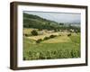 Countryside Near St. Jean Pied De Port, Basque Country, Pyrenees-Atlantiques, Aquitaine, France-R H Productions-Framed Photographic Print