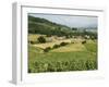 Countryside Near St. Jean Pied De Port, Basque Country, Pyrenees-Atlantiques, Aquitaine, France-R H Productions-Framed Photographic Print