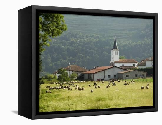 Countryside Near St. Jean Pied De Port, Basque Country, Pyrenees-Atlantiques, Aquitaine, France-R H Productions-Framed Stretched Canvas