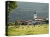 Countryside Near St. Jean Pied De Port, Basque Country, Pyrenees-Atlantiques, Aquitaine, France-R H Productions-Stretched Canvas