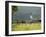 Countryside Near St. Jean Pied De Port, Basque Country, Pyrenees-Atlantiques, Aquitaine, France-R H Productions-Framed Photographic Print