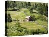 Countryside Near Suceava, Bucovina, Romania, Europe-Marco Cristofori-Stretched Canvas