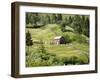 Countryside Near Suceava, Bucovina, Romania, Europe-Marco Cristofori-Framed Photographic Print