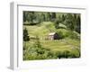 Countryside Near Suceava, Bucovina, Romania, Europe-Marco Cristofori-Framed Photographic Print