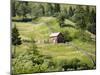 Countryside Near Suceava, Bucovina, Romania, Europe-Marco Cristofori-Mounted Photographic Print