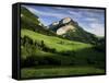 Countryside Near Villard De Lans, Parc Naturel Regional Du Vercors, Drome, Rhone Alpes, France-Michael Busselle-Framed Stretched Canvas