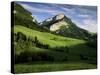 Countryside Near Villard De Lans, Parc Naturel Regional Du Vercors, Drome, Rhone Alpes, France-Michael Busselle-Stretched Canvas