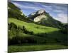 Countryside Near Villard De Lans, Parc Naturel Regional Du Vercors, Drome, Rhone Alpes, France-Michael Busselle-Mounted Photographic Print