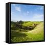 Countryside on the Walk to Wharariki Beach-Matthew Williams-Ellis-Framed Stretched Canvas