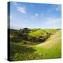 Countryside on the Walk to Wharariki Beach-Matthew Williams-Ellis-Stretched Canvas