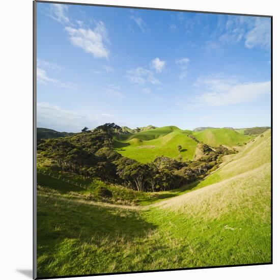 Countryside on the Walk to Wharariki Beach-Matthew Williams-Ellis-Mounted Photographic Print