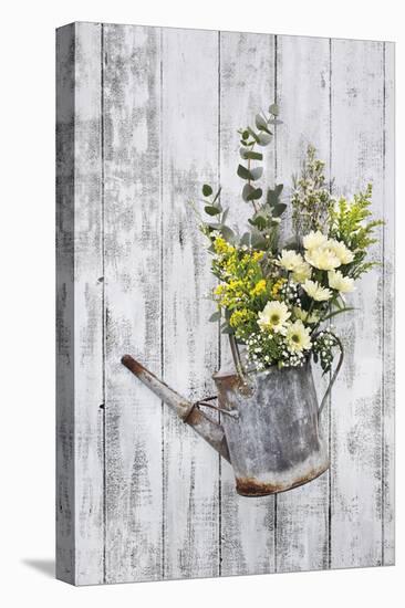 Countryside Planter-James Guilliam-Stretched Canvas