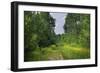 Countryside Road-duallogic-Framed Photographic Print