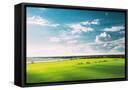 Canvas Black